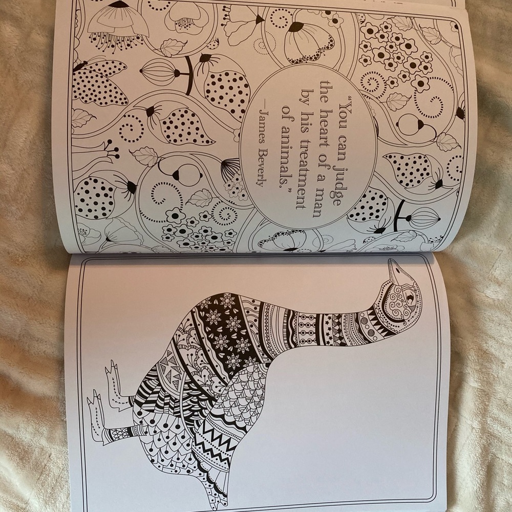 Amazing Animals Coloring Book - Picture 5 of 5